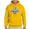 Gildan Adult Heavy Blend™ Hooded Sweatshirt Thumbnail