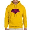 Gildan Adult Heavy Blend™ Hooded Sweatshirt Thumbnail