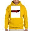 Gildan Adult Heavy Blend™ Hooded Sweatshirt Thumbnail