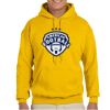 Gildan Adult Heavy Blend™ Hooded Sweatshirt Thumbnail