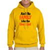 Gildan Adult Heavy Blend™ Hooded Sweatshirt Thumbnail