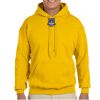 Adult Heavy Blend™ Hooded Sweatshirt Thumbnail