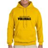 Gildan Adult Heavy Blend™ Hooded Sweatshirt Thumbnail