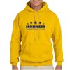 Gildan Adult Heavy Blend™ Hooded Sweatshirt Thumbnail