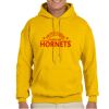 Gildan Adult Heavy Blend™ Hooded Sweatshirt Thumbnail