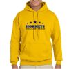Gildan Adult Heavy Blend™ Hooded Sweatshirt Thumbnail