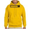 Gildan Adult Heavy Blend™ Hooded Sweatshirt Thumbnail