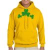 Gildan Adult Heavy Blend™ Hooded Sweatshirt Thumbnail