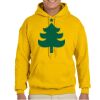 Gildan Adult Heavy Blend™ Hooded Sweatshirt Thumbnail