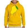Gildan Adult Heavy Blend™ Hooded Sweatshirt Thumbnail