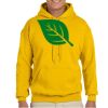 Gildan Adult Heavy Blend™ Hooded Sweatshirt Thumbnail