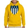 Gildan Adult Heavy Blend™ Hooded Sweatshirt Thumbnail