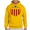 Gildan Adult Heavy Blend™ Hooded Sweatshirt Thumbnail