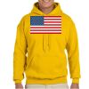 Gildan Adult Heavy Blend™ Hooded Sweatshirt Thumbnail