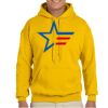 Gildan Adult Heavy Blend™ Hooded Sweatshirt Thumbnail