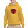 Youth Heavy Blend™ Hooded Sweatshirt Thumbnail