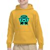 Youth Heavy Blend™ Hooded Sweatshirt Thumbnail