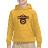 Youth Heavy Blend™ Hooded Sweatshirt Thumbnail