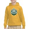 Youth Heavy Blend™ Hooded Sweatshirt Thumbnail
