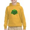 Youth Heavy Blend™ Hooded Sweatshirt Thumbnail
