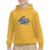 Youth Heavy Blend™ Hooded Sweatshirt Thumbnail