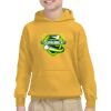 Youth Heavy Blend™ Hooded Sweatshirt Thumbnail