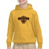 Youth Heavy Blend™ Hooded Sweatshirt Thumbnail