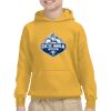 Youth Heavy Blend™ Hooded Sweatshirt Thumbnail