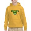 Youth Heavy Blend™ Hooded Sweatshirt Thumbnail