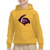 Youth Heavy Blend™ Hooded Sweatshirt Thumbnail
