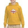 Youth Heavy Blend™ Hooded Sweatshirt Thumbnail