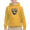 Youth Heavy Blend™ Hooded Sweatshirt Thumbnail