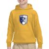 Youth Heavy Blend™ Hooded Sweatshirt Thumbnail