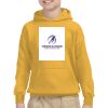 Youth Heavy Blend™ Hooded Sweatshirt Thumbnail