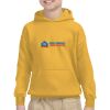 Youth Heavy Blend™ Hooded Sweatshirt Thumbnail