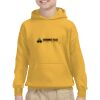 Youth Heavy Blend™ Hooded Sweatshirt Thumbnail