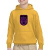 Youth Heavy Blend™ Hooded Sweatshirt Thumbnail