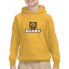 Youth Heavy Blend™ Hooded Sweatshirt Thumbnail