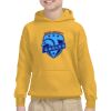 Gildan Youth Heavy Blend™ Hooded Sweatshirt Thumbnail