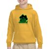 Youth Heavy Blend™ Hooded Sweatshirt Thumbnail