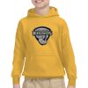 Youth Heavy Blend™ Hooded Sweatshirt Thumbnail