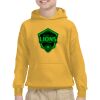 Youth Heavy Blend™ Hooded Sweatshirt Thumbnail