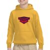 Youth Heavy Blend™ Hooded Sweatshirt Thumbnail