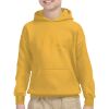 Youth Heavy Blend™ Hooded Sweatshirt Thumbnail