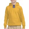 Youth Heavy Blend™ Hooded Sweatshirt Thumbnail