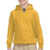 Youth Heavy Blend™ Hooded Sweatshirt Thumbnail