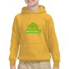 Youth Heavy Blend™ Hooded Sweatshirt Thumbnail
