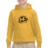 Youth Heavy Blend™ Hooded Sweatshirt Thumbnail