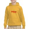 Youth Heavy Blend™ Hooded Sweatshirt Thumbnail