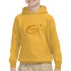 Youth Heavy Blend™ Hooded Sweatshirt Thumbnail